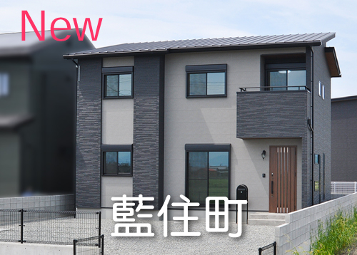 藍住町富吉大向（1号地）