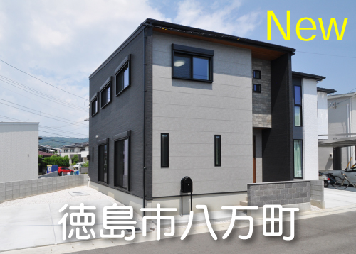 徳島市八万町内浜（6号地）