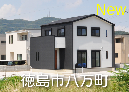 徳島市八万町内浜（9号地）